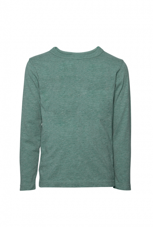 isolated t-shirt, tshirt, t-shirt-1852114.jpg